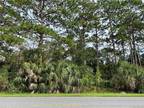 Plot For Sale In Homosassa, Florida