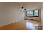 Condo For Rent In New York, New York