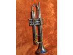 Vintage King Tempo Trumpet Silver with Brass Accents