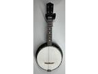 1920's Stromberg-Voisinet Vintage banjo ukulele banjolele resonator back