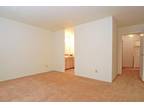 701 College Ln #04-708 Salisbury, MD