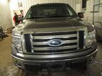 Used 2010 FORD F150 For Sale