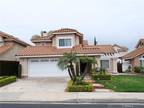 Single Family Residence - Rancho Santa Margarita, CA 24 Paulownia