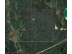 Plot For Sale In Polk City, Florida