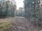 Florence, Florence County, SC Undeveloped Land for sale Property ID: 418212627