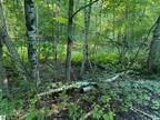 Evart, Osceola County, MI Undeveloped Land, Homesites for rent Property ID: