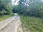 Evart, Osceola County, MI Undeveloped Land, Homesites for rent Property ID: