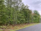 Thornhurst, Lackawanna County, PA Undeveloped Land, Homesites for sale Property