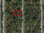 Plot For Sale In Dunnellon, Florida