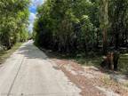 Plot For Sale In Arcadia, Florida