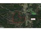 0 SHIRLEY ROAD # 9616-A, Ranger, GA 30734 Agriculture For Sale MLS# 20159822