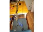 50lbs Compound Bow
