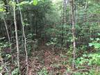 Plot For Sale In Helenwood, Tennessee