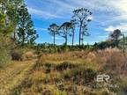 Plot For Sale In Elsanor, Alabama