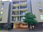 Fully Renovated Beautiful 1 Bedroom Condo 6347 137th Ave Ne #271