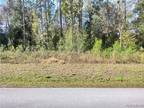 0000 SW 176TH AVENUE, Dunnellon, FL 34432 Land For Rent MLS# 829026