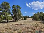 Pie Town, Catron County, NM Recreational Property, Undeveloped Land for sale