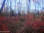 Jim Thorpe, Carbon County, PA Undeveloped Land, Homesites for sale Property ID: