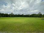 Plot For Sale In Theodore, Alabama