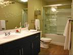 2 Bedroom 2 Bath In Chandler AZ 85248