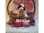 Skittles