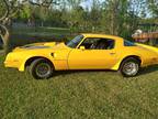 1976 Pontiac Firebird Trans Am