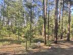 Pinetop, Discover a unique opportunity with one of two