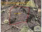 55+/- AC Boheler Rd Clover SC Land For Sale