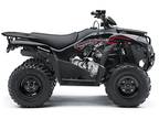 2023 Kawasaki Brute Force 300