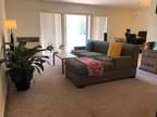 1 bedroom Apartment for Re-let/Sublet