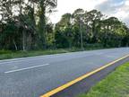 0 US-1, Oak Hill, FL 32759 Land For Sale MLS# 1095866