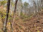 Plot For Sale In Erwin, Tennessee