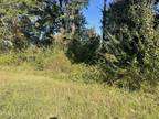 Plot For Sale In Sunbright, Tennessee