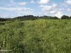 Plot For Sale In New Tazewell, Tennessee