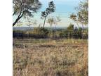 Granbury, Hood County, TX Undeveloped Land for sale Property ID: 416184914