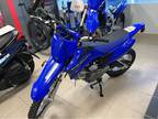 2023 Yamaha TTR110EPL Motorcycle for Sale