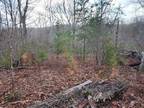 Plot For Rent In Holladay, Tennessee