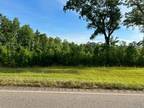 Plot For Sale In Beatrice, Alabama