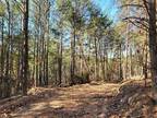 15000 S HWY 411, CHATSWORTH, GA 30705 Agriculture For Sale MLS# 125040