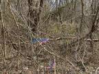Plot For Sale In Winchester, Tennessee
