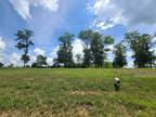 Plot For Sale In Sugar Tree, Tennessee