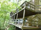Four Bedroom Mountain Lodge, Private! 1975 Old Flat Branch Rd