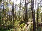 Hastings, Saint Johns County, FL Undeveloped Land, Homesites for sale Property