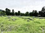 Star Valley Ranch, Lincoln County, WY Undeveloped Land, Homesites for sale