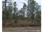 Plot For Sale In Dunnellon, Florida