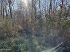 Plot For Sale In Byrdstown, Tennessee