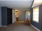 125 E Gorham St unit 202 Madison, WI 53703 - Home For Rent