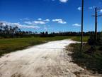 Port St Joe, Gulf County, FL Undeveloped Land for sale Property ID: 417752052