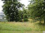 Plot For Sale In Grand Rivers, Kentucky