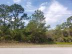 Lake Placid, Highlands County, FL Undeveloped Land, Homesites for sale Property